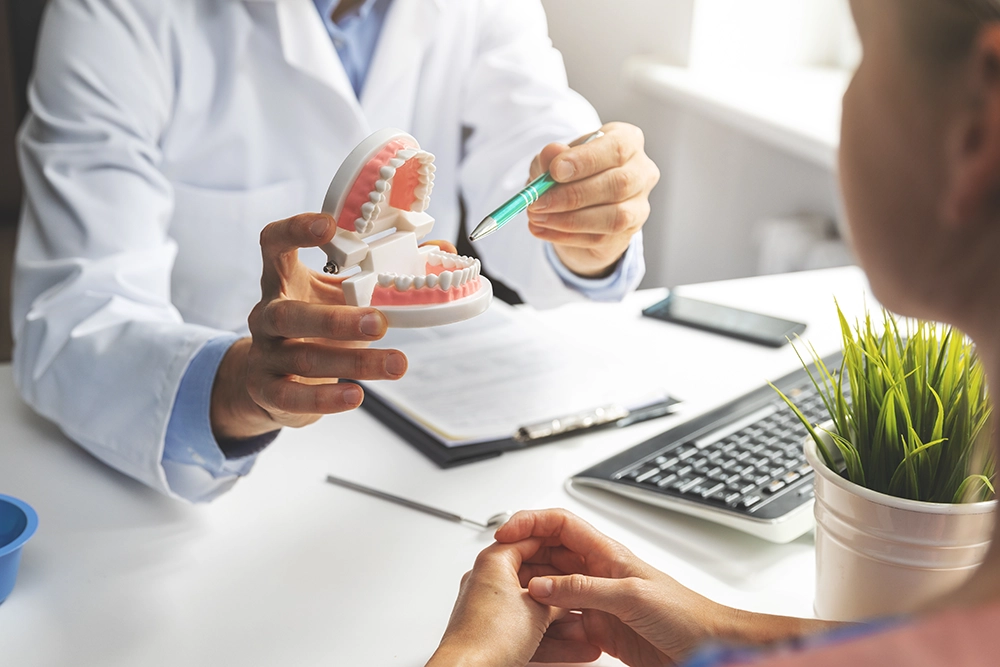 An orthodontic consultation using a dental model to explain treatment